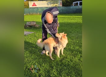 Tim auf Pflegetelle