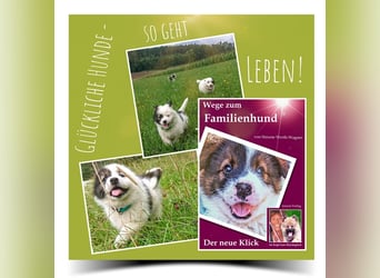 Welpe, Hund, Mischling, Rasse - Erziehung zum Familienhund - einfach gemacht
