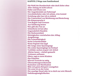 Welpe, Hund, Mischling, Rasse - Erziehung zum Familienhund - einfach gemacht