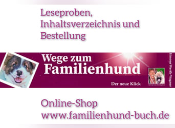 Welpe, Hund, Mischling, Rasse - Erziehung zum Familienhund - einfach gemacht
