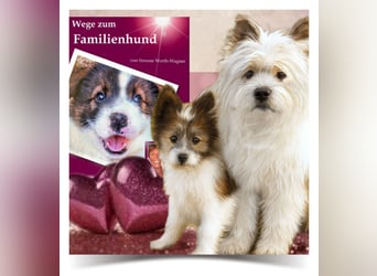 Welpe, Hund, Mischling, Rasse - Erziehung zum Familienhund - einfach gemacht