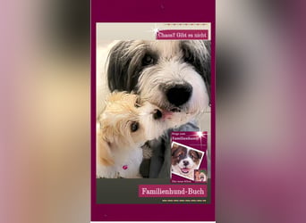 Welpe, Hund, Mischling, Rasse - Erziehung zum Familienhund - einfach gemacht