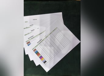 Welpen Aufzucht Karteikarten deutsch Aufzeichnungskarten A4