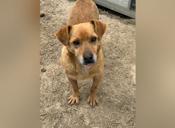 Bobo - kleiner Schatz