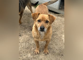 Bobo - kleiner Schatz