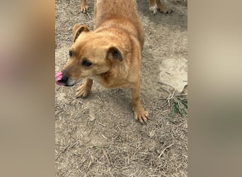 Bobo - kleiner Schatz