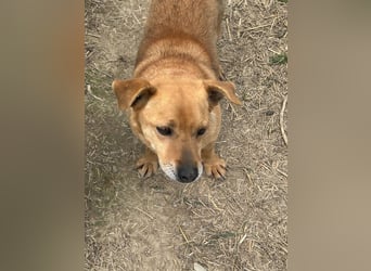 Bobo - kleiner Schatz