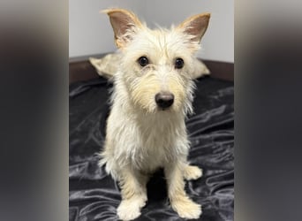 Schüchterner Benno sucht seine Menschen