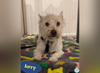 Jerry DE, sucht erfahrene Menschen