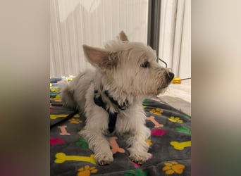 Jerry DE, sucht erfahrene Menschen