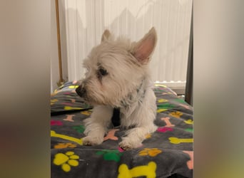 Jerry DE, sucht erfahrene Menschen