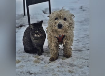 Leslie sucht ein verständnisvolles Zuhause