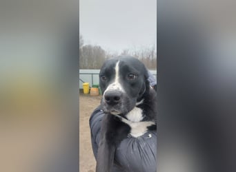 Graf Poldi ist einzigartig und bereit fürs Leben