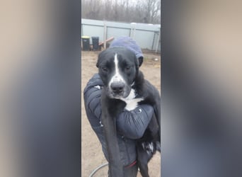 Graf Poldi ist einzigartig und bereit fürs Leben