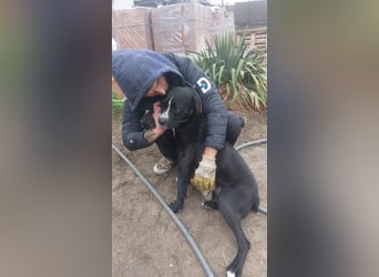 Graf Poldi ist einzigartig und bereit fürs Leben