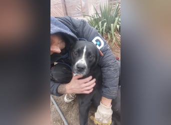 Graf Poldi ist einzigartig und bereit fürs Leben