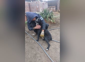 Graf Poldi ist einzigartig und bereit fürs Leben