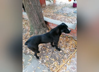 Graf Poldi ist einzigartig und bereit fürs Leben