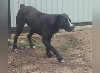 Graf Poldi ist einzigartig und bereit fürs Leben
