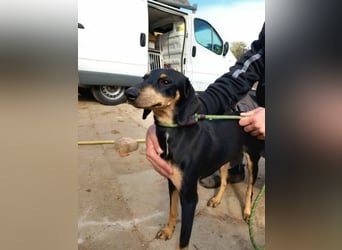 Lady sucht ein Zuhause voller Liebe