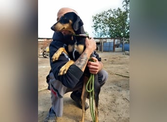 Lady sucht ein Zuhause voller Liebe