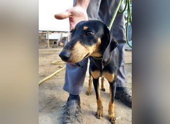 Lady sucht ein Zuhause voller Liebe