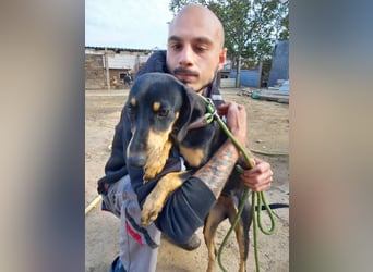 Lady sucht ein Zuhause voller Liebe
