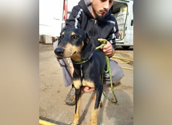 Lady sucht ein Zuhause voller Liebe
