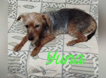 ❤️ YUNA ❤️  ❗NOTFALL❗