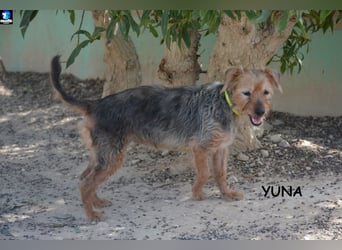 ❤️ YUNA ❤️  ❗NOTFALL❗