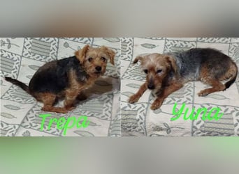 ❤️ TREPA ❤️