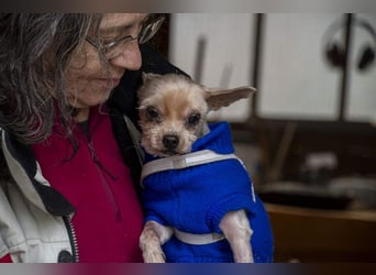 CALIMERO-wer hat Herz, Liebe und kuscheliges Körbchen für den süßen, kleinen Mann