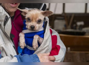 CALIMERO-wer hat Herz, Liebe und kuscheliges Körbchen für den süßen, kleinen Mann