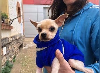 CALIMERO-wer hat Herz, Liebe und kuscheliges Körbchen für den süßen, kleinen Mann