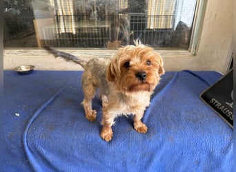 Archie wartet auf Menschen, die ihn schätzen