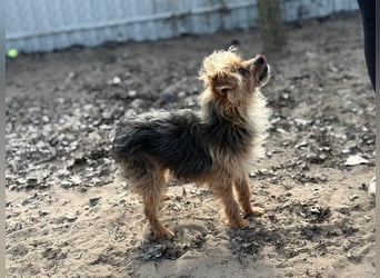 Benke wartet auf sein Happy End