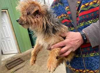 Benke wartet auf sein Happy End