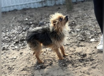 Benke wartet auf sein Happy End