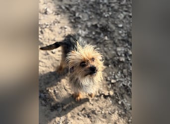 Benke wartet auf sein Happy End