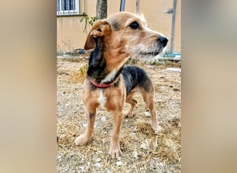 Dori ,eine kleine Frohnatur wartet auf ihr großes Glück