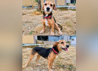 Dori ,eine kleine Frohnatur wartet auf ihr großes Glück