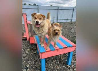 Lieber Jetem sucht seine Menschen