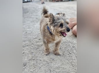 Kiko piccolo - wer bringt seine Augen zum Strahlen