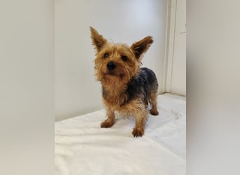 COCO - ich bin neugierig auf meine Familie und freue mich auf ein tolles neues Leben!