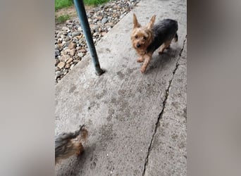 COCO - ich bin neugierig auf meine Familie und freue mich auf ein tolles neues Leben!