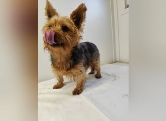 COCO - ich bin neugierig auf meine Familie und freue mich auf ein tolles neues Leben!