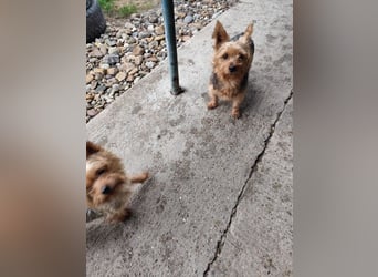 COCO - ich bin neugierig auf meine Familie und freue mich auf ein tolles neues Leben!