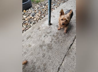 COCO - ich bin neugierig auf meine Familie und freue mich auf ein tolles neues Leben!