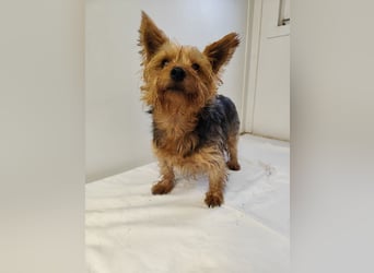 COCO - ich bin neugierig auf meine Familie und freue mich auf ein tolles neues Leben!