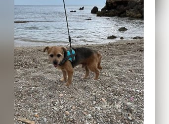 Micky ist ein Traumjunge und liebt das Leben